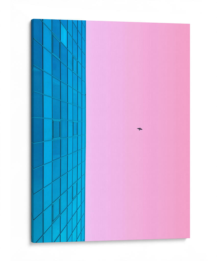 Vuelo rosa | Cuadro decorativo de Canvas Lab