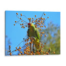 Loro a la deriva - Isabel Soria | Cuadro decorativo de Canvas Lab