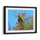 Loro a la deriva - Isabel Soria | Cuadro decorativo de Canvas Lab