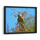 Loro a la deriva - Isabel Soria | Cuadro decorativo de Canvas Lab