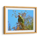 Loro a la deriva - Isabel Soria | Cuadro decorativo de Canvas Lab