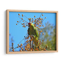 Loro a la deriva - Isabel Soria | Cuadro decorativo de Canvas Lab