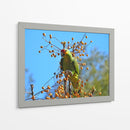 Loro a la deriva - Isabel Soria | Cuadro decorativo de Canvas Lab