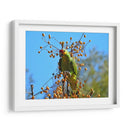 Loro a la deriva - Isabel Soria | Cuadro decorativo de Canvas Lab