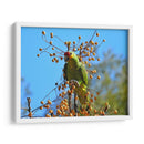 Loro a la deriva - Isabel Soria | Cuadro decorativo de Canvas Lab