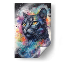 GATO EN EL UNIVERSO - Dav Madrid | Cuadro decorativo de Canvas Lab