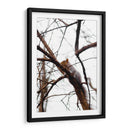 Ardilla en el árbol - yuncaba | Cuadro decorativo de Canvas Lab