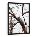 Ardilla en el árbol - yuncaba | Cuadro decorativo de Canvas Lab