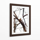 Ardilla en el árbol - yuncaba | Cuadro decorativo de Canvas Lab