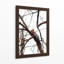 Ardilla en el árbol - yuncaba | Cuadro decorativo de Canvas Lab
