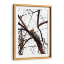 Ardilla en el árbol - yuncaba | Cuadro decorativo de Canvas Lab