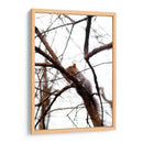 Ardilla en el árbol - yuncaba | Cuadro decorativo de Canvas Lab