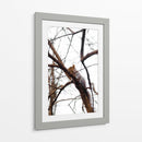 Ardilla en el árbol - yuncaba | Cuadro decorativo de Canvas Lab