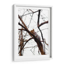 Ardilla en el árbol - yuncaba | Cuadro decorativo de Canvas Lab