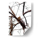 Ardilla en el árbol - yuncaba | Cuadro decorativo de Canvas Lab