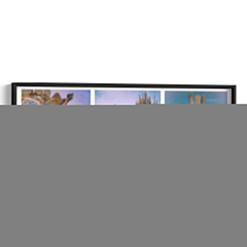 Xerófitas Mexicanas Tríptico - Carla Fernández | Cuadro decorativo de Canvas Lab