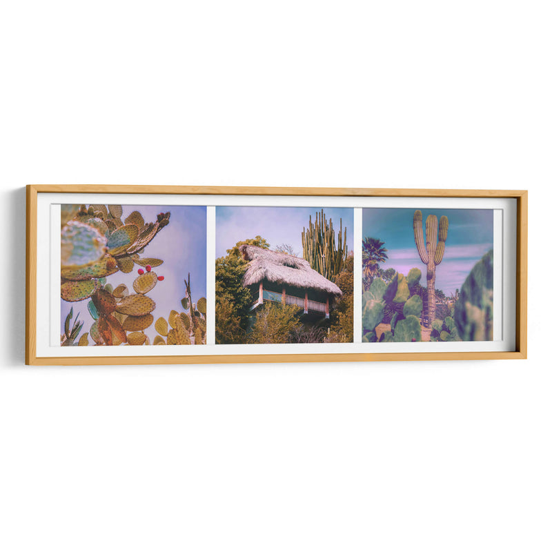 Xerófitas Mexicanas Tríptico - Carla Fernández | Cuadro decorativo de Canvas Lab