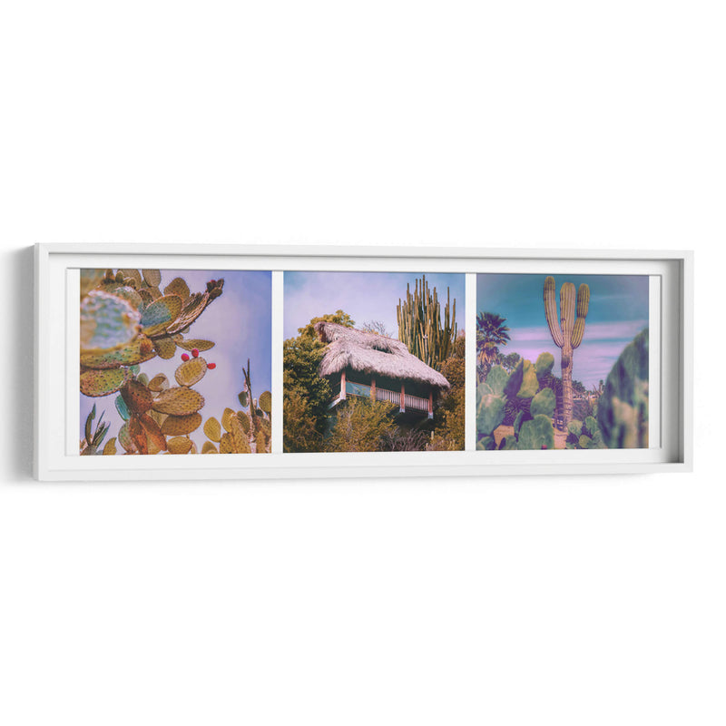 Xerófitas Mexicanas Tríptico - Carla Fernández | Cuadro decorativo de Canvas Lab