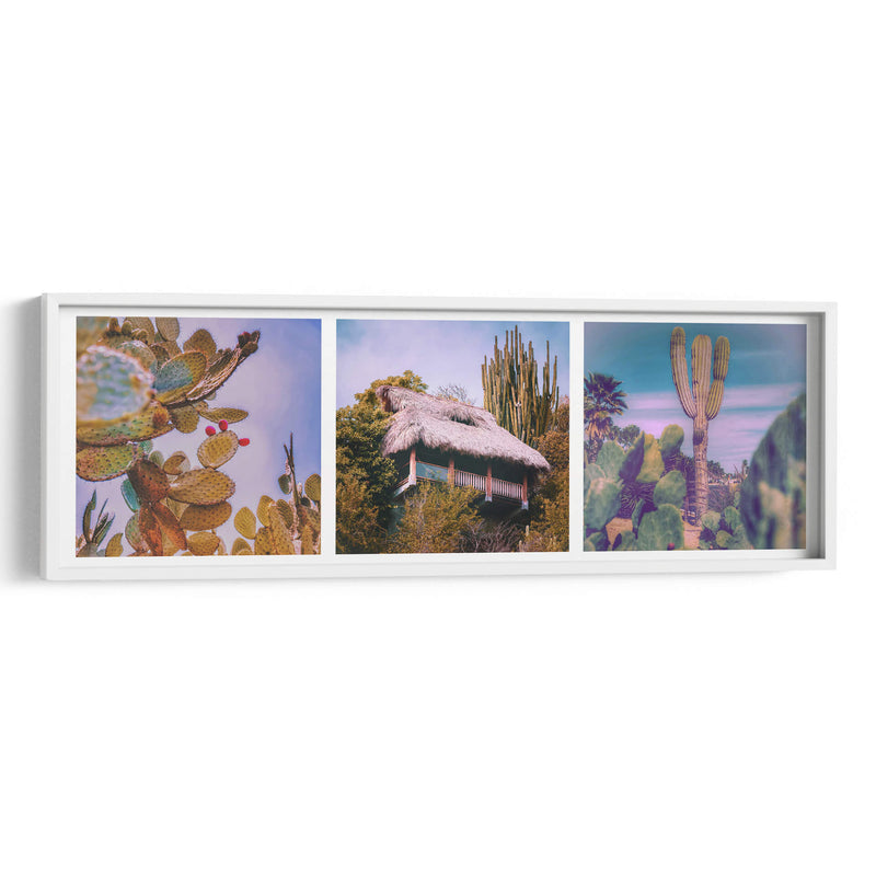 Xerófitas Mexicanas Tríptico - Carla Fernández | Cuadro decorativo de Canvas Lab