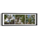 Selva de Tikal Tríptico - Carla Fernández | Cuadro decorativo de Canvas Lab