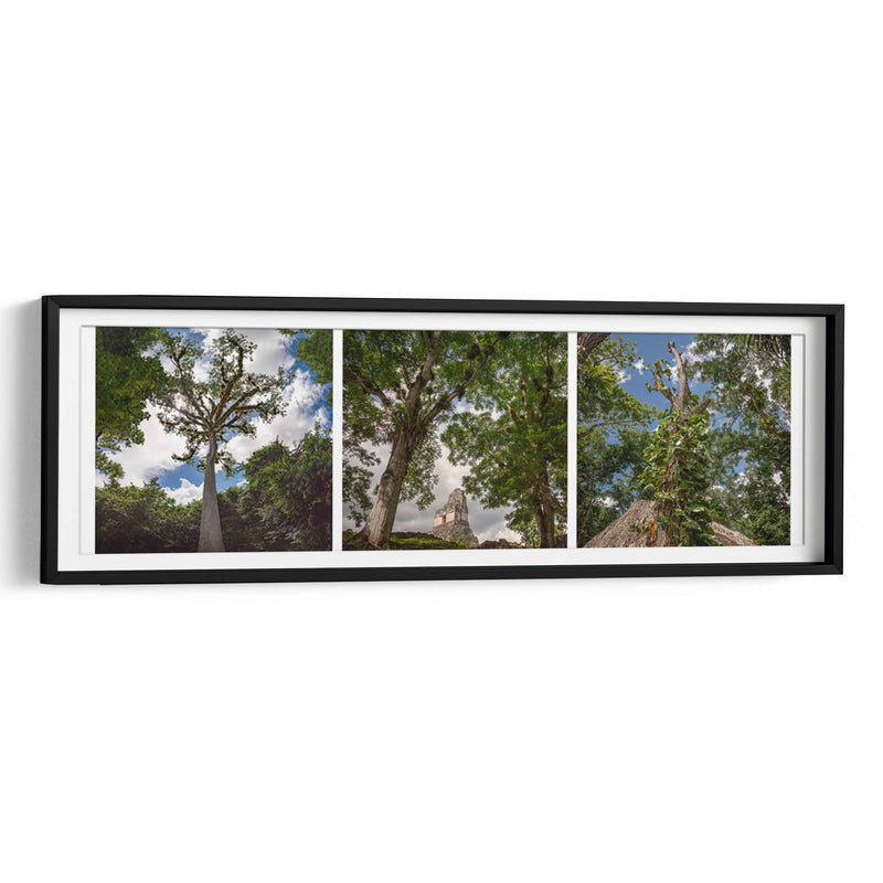 Selva de Tikal Tríptico - Carla Fernández | Cuadro decorativo de Canvas Lab