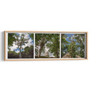Selva de Tikal Tríptico - Carla Fernández | Cuadro decorativo de Canvas Lab