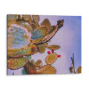 Nopal Washed - Carla Fernández | Cuadro decorativo de Canvas Lab