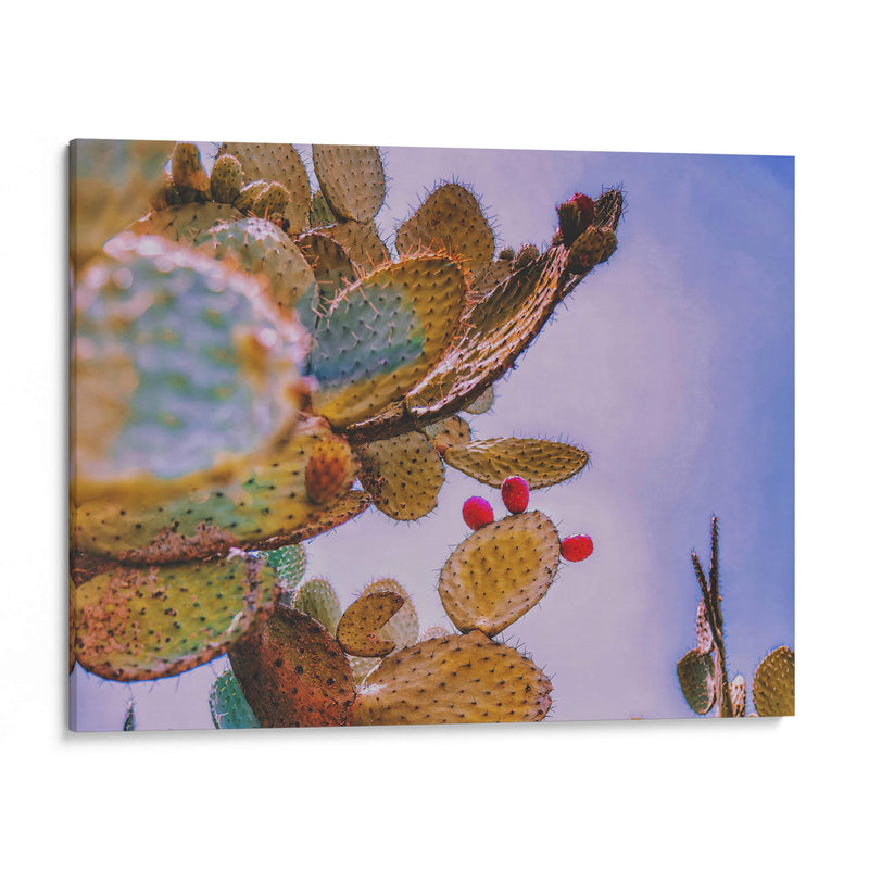 Nopal Washed - Carla Fernández | Cuadro decorativo de Canvas Lab