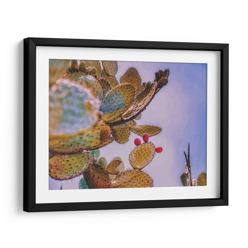 Nopal Washed - Carla Fernández | Cuadro decorativo de Canvas Lab