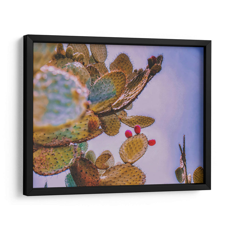 Nopal Washed - Carla Fernández | Cuadro decorativo de Canvas Lab