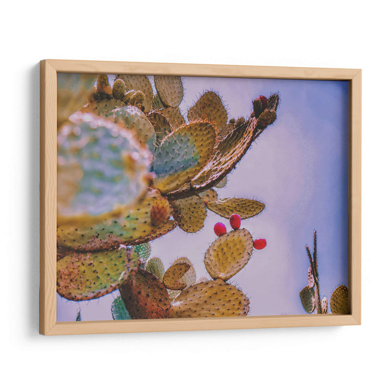 Nopal Washed - Carla Fernández | Cuadro decorativo de Canvas Lab