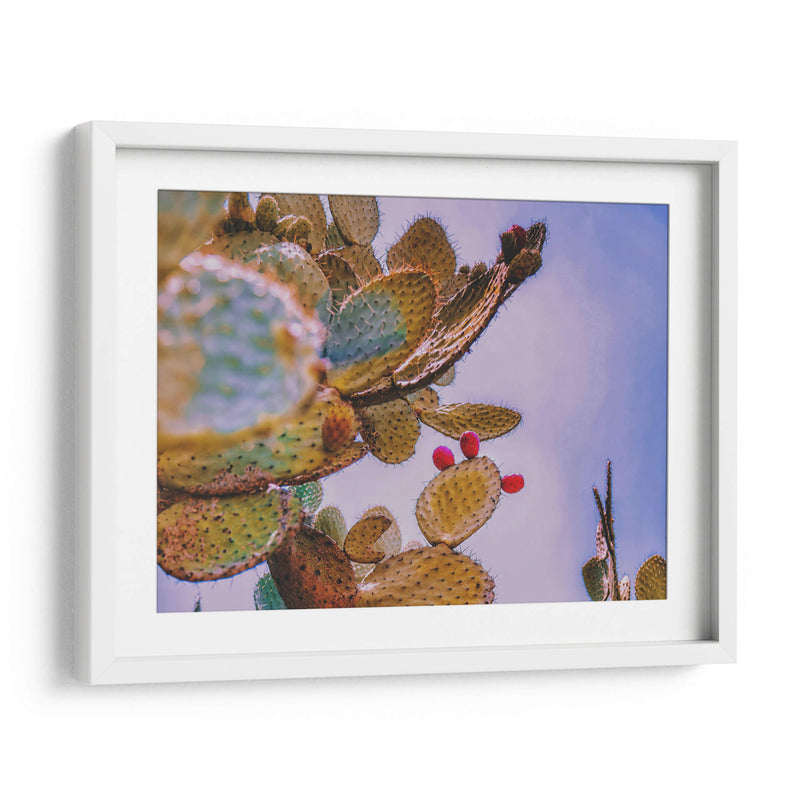 Nopal Washed - Carla Fernández | Cuadro decorativo de Canvas Lab