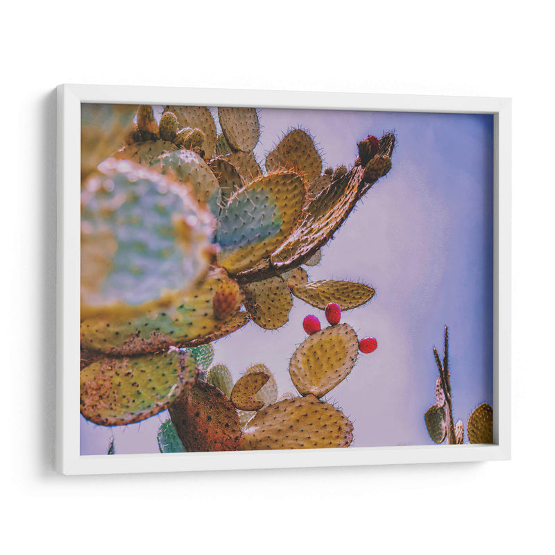 Nopal Washed - Carla Fernández | Cuadro decorativo de Canvas Lab
