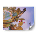 Nopal Washed - Carla Fernández | Cuadro decorativo de Canvas Lab