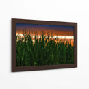 Plantación de Maíz al Anochecer - Carla Fernández | Cuadro decorativo de Canvas Lab