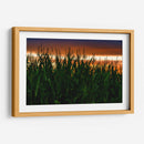 Plantación de Maíz al Anochecer - Carla Fernández | Cuadro decorativo de Canvas Lab