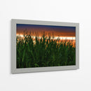 Plantación de Maíz al Anochecer - Carla Fernández | Cuadro decorativo de Canvas Lab
