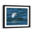 Garza dedos dorados - Manuel Jiménez | Cuadro decorativo de Canvas Lab