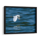 Garza dedos dorados - Manuel Jiménez | Cuadro decorativo de Canvas Lab