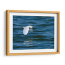 Garza dedos dorados - Manuel Jiménez | Cuadro decorativo de Canvas Lab