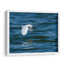 Garza dedos dorados - Manuel Jiménez | Cuadro decorativo de Canvas Lab