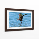 Ibis ojos rojos - Manuel Jiménez | Cuadro decorativo de Canvas Lab