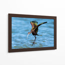Ibis ojos rojos - Manuel Jiménez | Cuadro decorativo de Canvas Lab