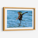 Ibis ojos rojos - Manuel Jiménez | Cuadro decorativo de Canvas Lab