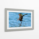 Ibis ojos rojos - Manuel Jiménez | Cuadro decorativo de Canvas Lab