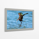 Ibis ojos rojos - Manuel Jiménez | Cuadro decorativo de Canvas Lab
