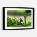 Matraca serrana - Manuel Jiménez | Cuadro decorativo de Canvas Lab