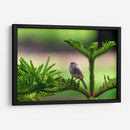 Matraca serrana - Manuel Jiménez | Cuadro decorativo de Canvas Lab