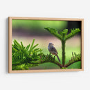 Matraca serrana - Manuel Jiménez | Cuadro decorativo de Canvas Lab