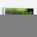 Matraca serrana - Manuel Jiménez | Cuadro decorativo de Canvas Lab